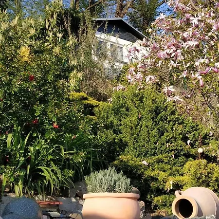 In Mit Schoener Terrasse By Interhome Pirna