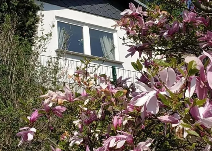 In Pirna Mit Schoener Terrasse By Interhome *