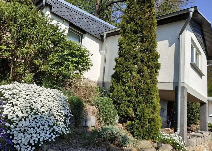 In Pirna Mit Schoener Terrasse By Interhome Pirna