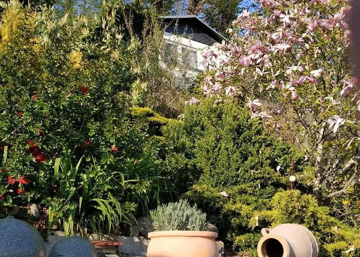 In Pirna Mit Schoener Terrasse By Interhome Pirna